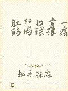 肛门囗有一粒硬的肉球很痛