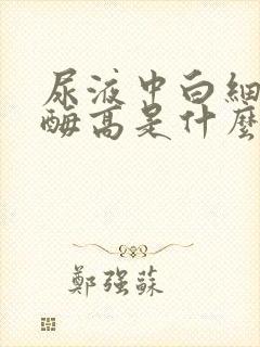 尿液中白细胞酯酶高是什么原因