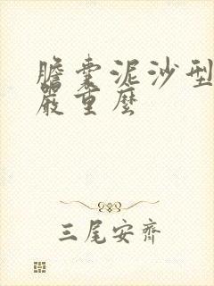 胆囊泥沙型结石严重么