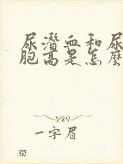 尿潜血和尿白细胞高是怎么回事