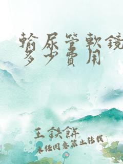 输尿管软镜取石多少费用