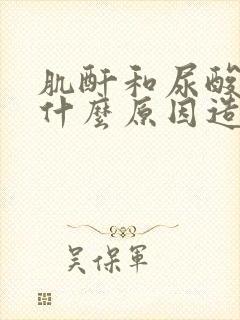 肌酐和尿酸高是什么原因造成的