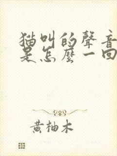 猫叫的声音哑了是怎么一回事