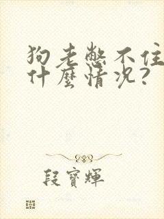 狗老憋不住尿是什么情况?