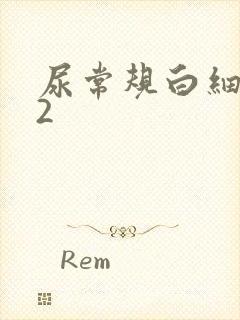 尿常规白细胞十2