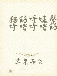 猫的呼吸声一直呼噜呼噜的