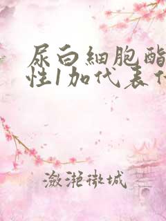 尿白细胞酯酶阳性1加代表什么