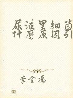 尿液里细菌高是什么原因引起的