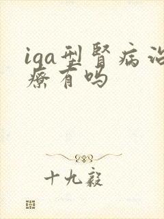 iga型肾病治疗有吗