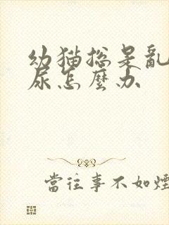 幼猫总是乱拉乱尿怎么办