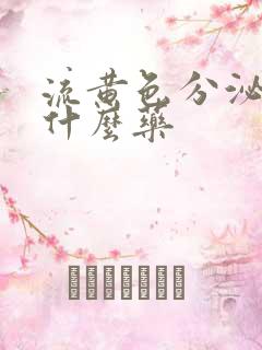 流黄色分泌物用什么药