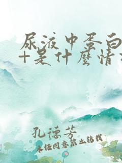 尿液中蛋白质1+是什么情况