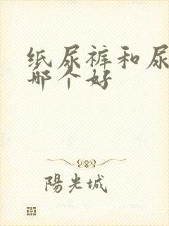 纸尿裤和尿不湿哪个好