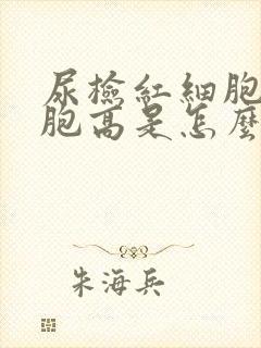 尿检红细胞白细胞高是怎么回事男性