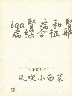 iga肾病和肾病综合征哪个更严重