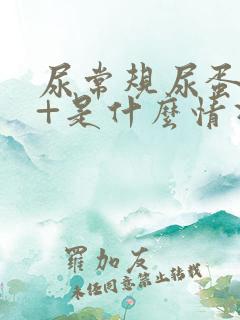 尿常规尿蛋白1+是什么情况