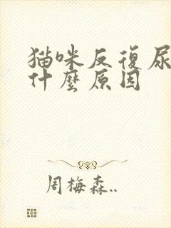 猫咪反复尿血是什么原因