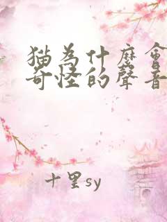 猫为什么会发出奇怪的声音