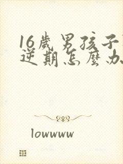 16岁男孩子叛逆期怎么办