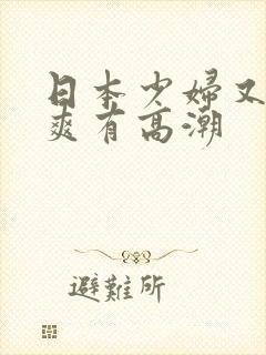 日本少妇又色又爽有高潮