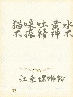 猫咪吐黄水食欲不振精神不好