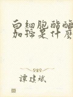 白细胞酯酶一个加号是什么