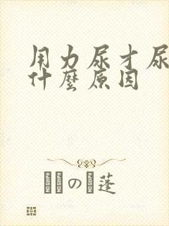 用力尿才尿出是什么原因