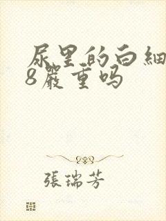 尿里的白细胞38严重吗