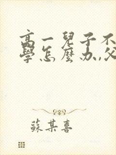 高一儿子不想上学怎么办,父母应该教育