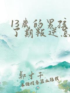 13岁的男孩到了期叛逆怎么教