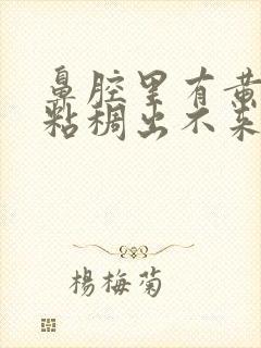 鼻腔里有黄鼻涕粘稠出不来