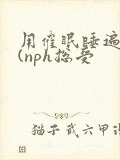 用催眠睡遍美男(nph总受