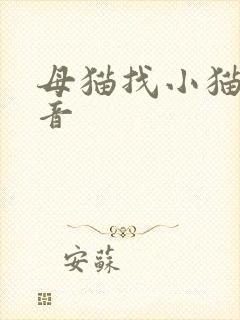 母猫找小猫的声音