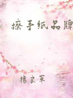 擦手纸品牌排名