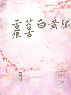 舌苔白黄腻有齿痕舌