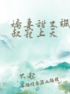 娇妻甜又飒,大叔宠上天