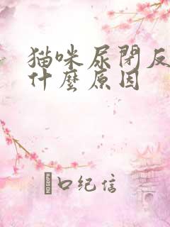 猫咪尿闭反复是什么原因