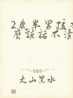 2岁半男孩不怎么说话不清楚