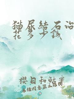 猫尿结石治疗要花多少钱