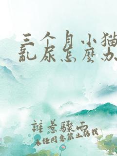 三个月小猫到处乱尿怎么办