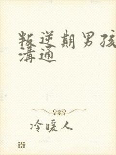 叛逆期男孩怎样沟通