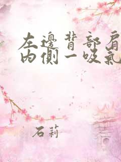 左边背部肩胛骨内侧一吸气疼