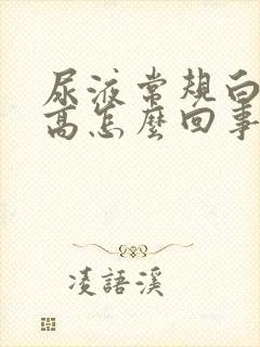 尿液常规白细胞高怎么回事