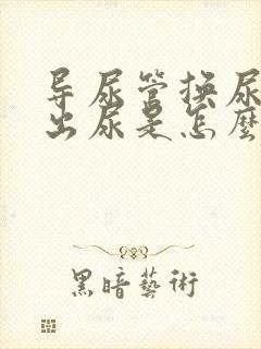 导尿管换尿袋不出尿是怎么回事