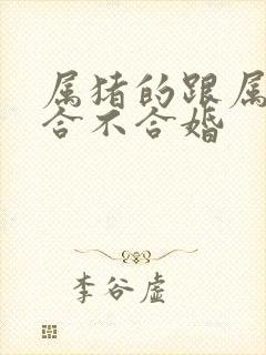 属猪的跟属马的合不合婚