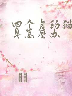 四个月的猫咪口臭怎么办