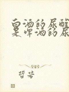 白酒的尿酸高还是啤酒的尿酸高