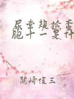 尿常规检查白细胞十一是什么意思