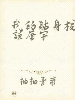 我的贴身校花小说唐宇