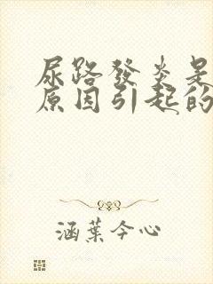 尿路发炎是什么原因引起的